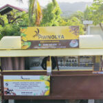 awnolya-image